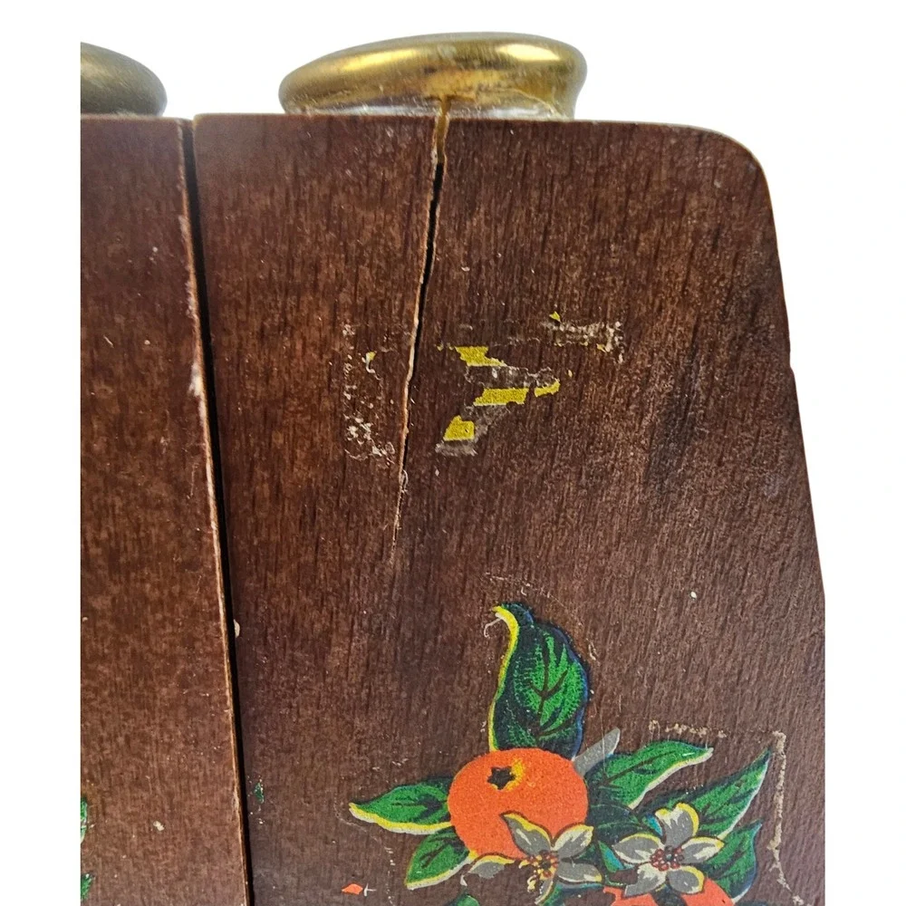 Vintage Florida Souvenir Wood Salt and Pepper Shakers Set Japan‎ Orange Blossom